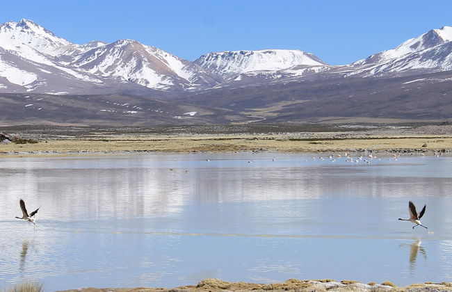 Tour de 6 días por la región comunitaria Aymara - Foto 8