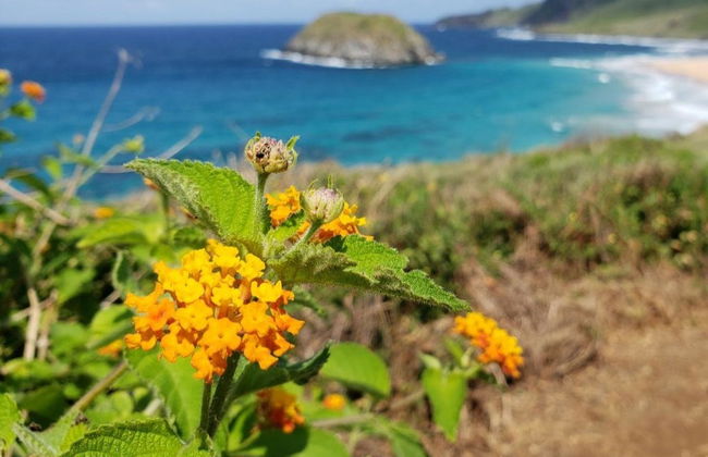 Senderismo por la Costa Azul - Foto 4