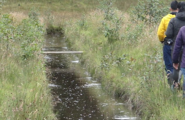 Lagune de La Cocha et zones humides de Santa Lucía + Pêche dans la rivière Guamúez - Photo 8