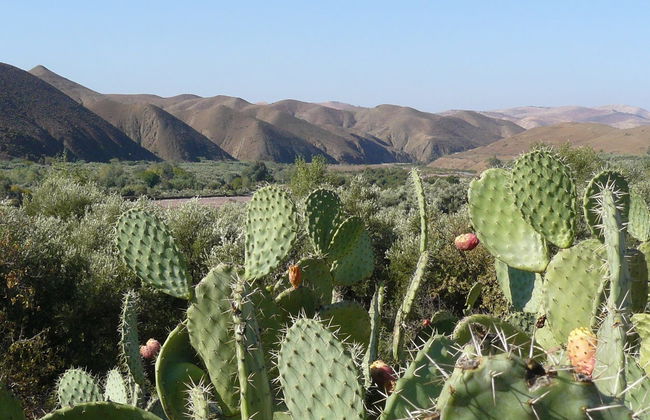 Paradise Valley Tour - Photo 5