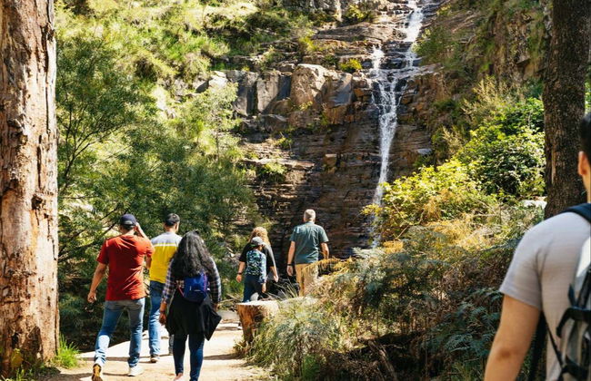 Grampians National Park Tour - Photo 3