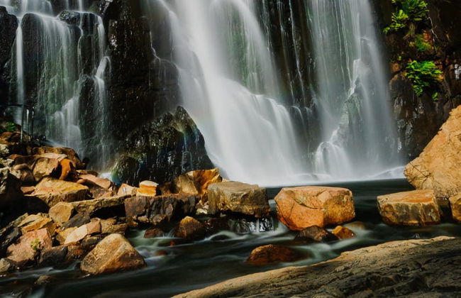 Grampians National Park Tour - Photo 8