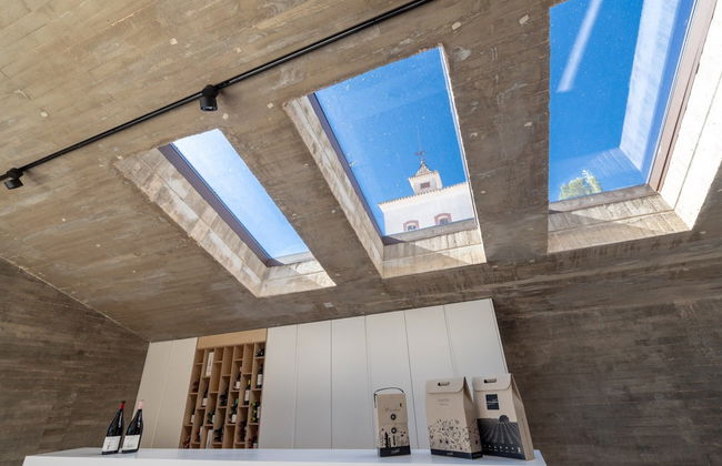 Visita a la bodega Sierra Norte - Foto 2