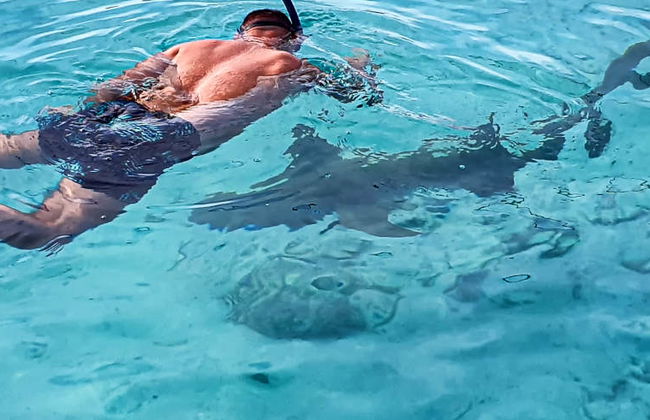 Snorkel en Dhiffushi - Foto 4