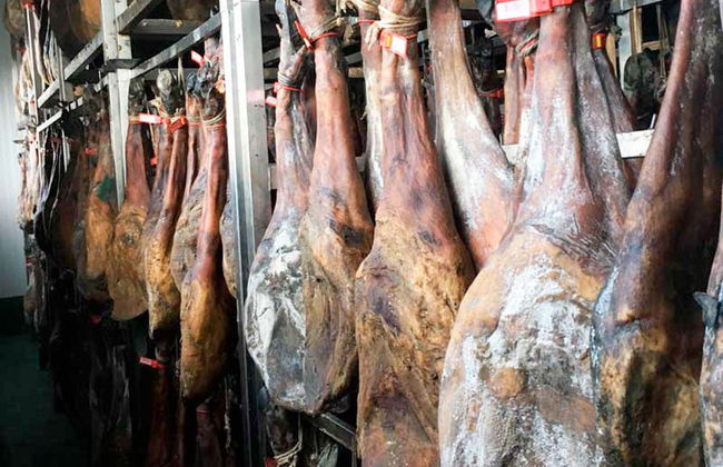 Iberian Ham Tour - Photo 4