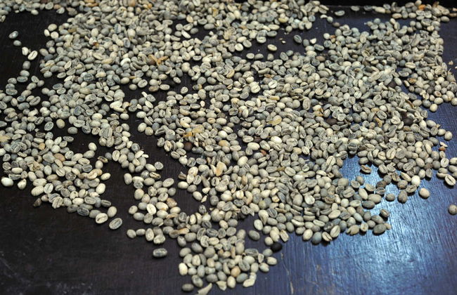 Excursion privée au Tangkuban Parahu + Centre de café Kopi Luwak - Photo 7