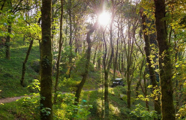 Arcos de Valdevez Buggy Tour - Photo 6