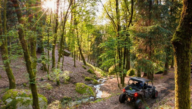 Arcos de Valdevez Buggy Tour - Photo 5