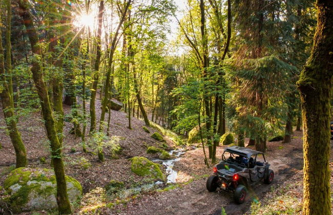 Arcos de Valdevez Buggy Tour - Photo 5