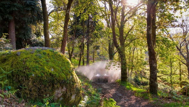 Arcos de Valdevez Buggy Tour - Photo 4