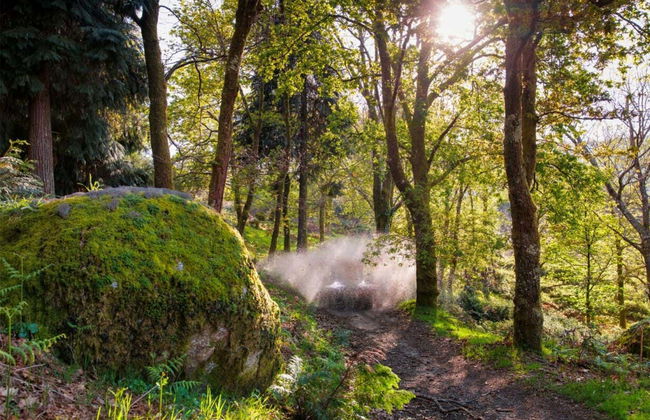 Arcos de Valdevez Buggy Tour - Photo 4