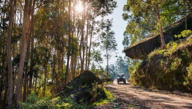 Arcos de Valdevez Buggy Tour - Photo 2