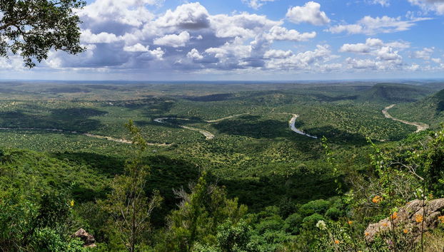 Safári por Shimba Hills - Foto 2