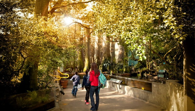 Ingresso do The Florida Aquarium - Foto 4