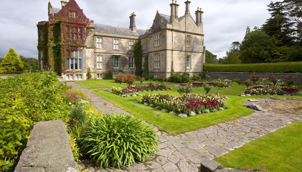 Bus touristique de Killarney - Photo 2