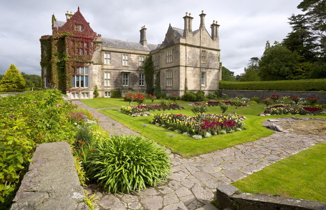 Killarney Hop-On Hop-Off Bus - Photo 1