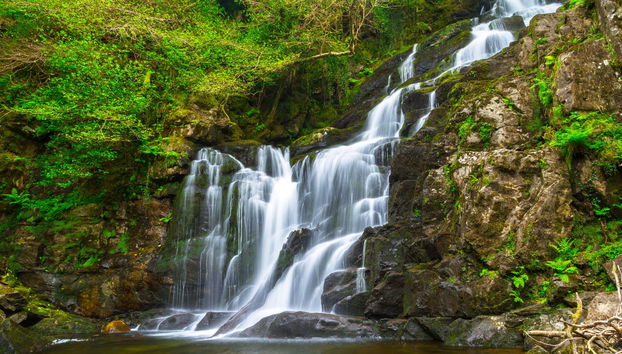 Killarney Hop-On Hop-Off Bus - Foto 5