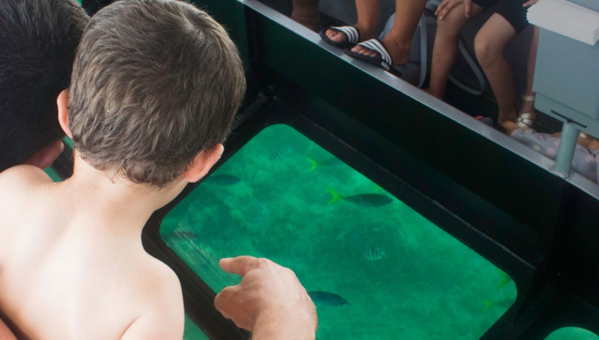 Passeio de barco com visão submarina