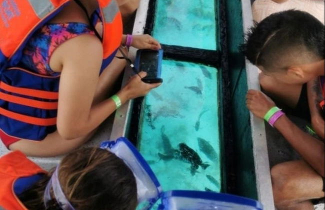 Paseo en barco con fondo de cristal - Foto 2
