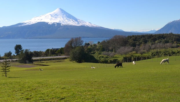 Excursión a los Saltos de Petrohué y volcán Osorno - Foto 4
