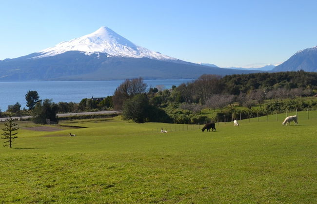 Excursion aux cascades de Petrohué et au volcan Osorno - Photo 4
