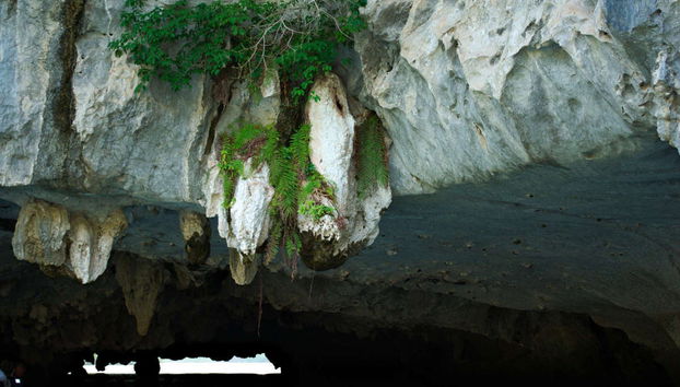 Lan Ha & Halong Bay 3 Day Cruise - Foto 3