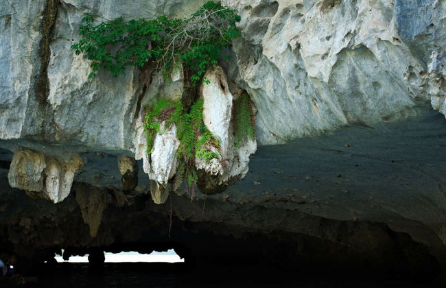 Lan Ha & Halong Bay 3 Day Cruise - Foto 3