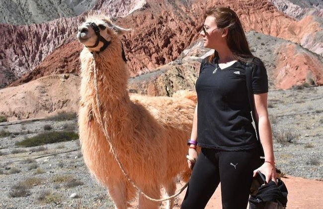 Senderismo con llamas por Purmamarca - Foto 4
