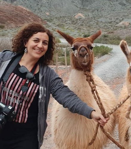 Foto de Senderismo con llamas por Purmamarca