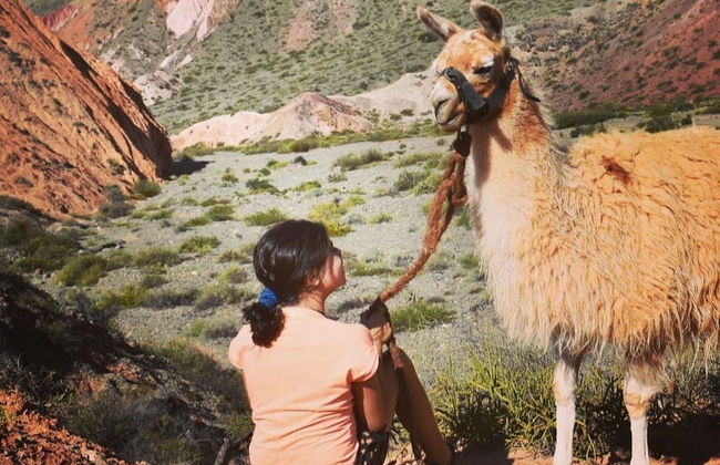 Senderismo con llamas por Purmamarca - Foto 2