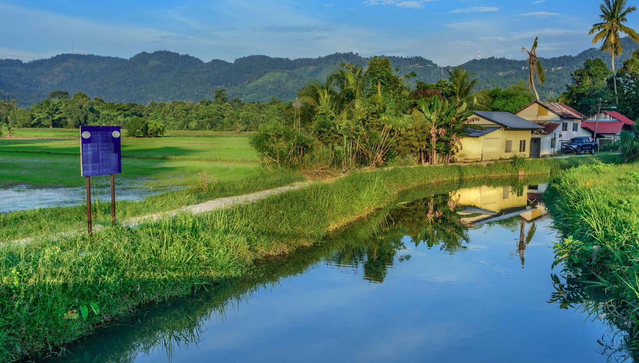 Tour en bicicleta por Penang