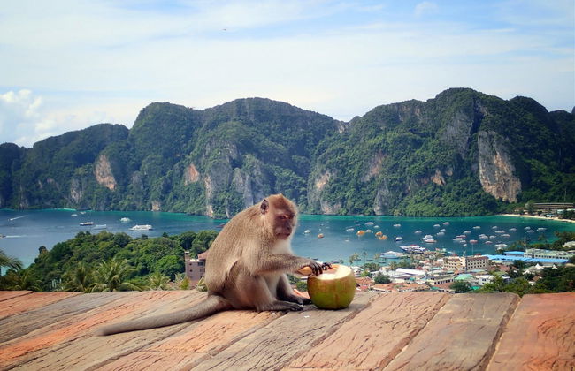 Excursión a las islas Phi Phi en lancha rápida - Foto 5