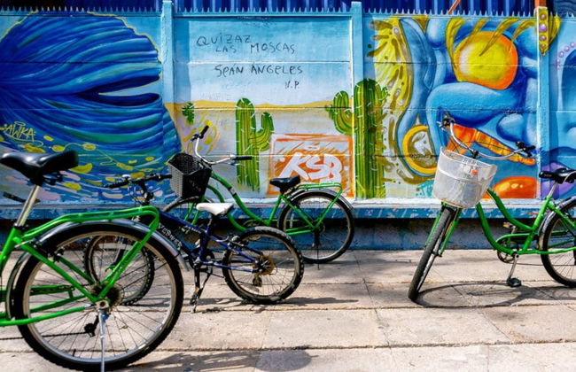 Balade à vélo dans Santiago - Photo 1