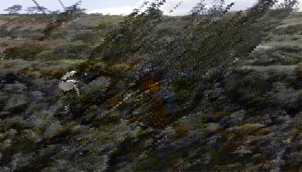 Tour de aventura en Quito - Foto 1