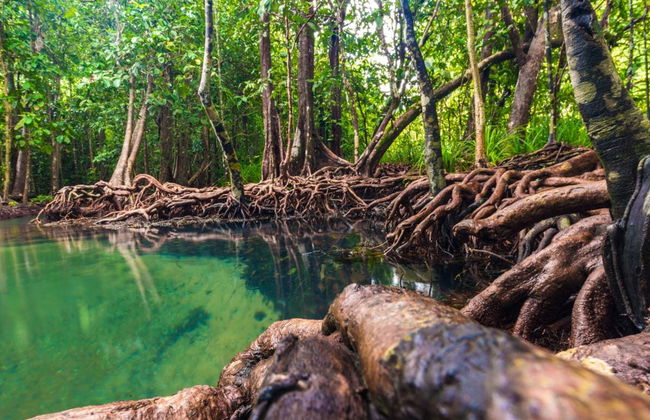 Manglares Churute Reserve Day Trip - Foto 3