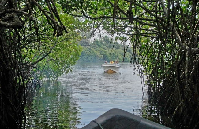 Manglares Churute Reserve Day Trip - Foto 1