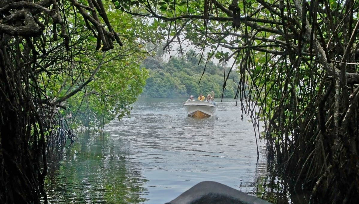 Escursione a Manglares Churute - Foto 1