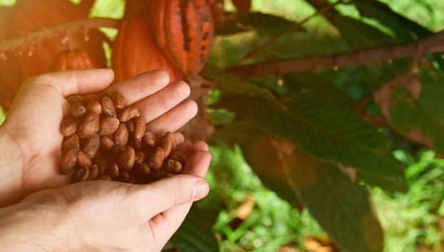 Escursione a Manglares Churute - Foto 4