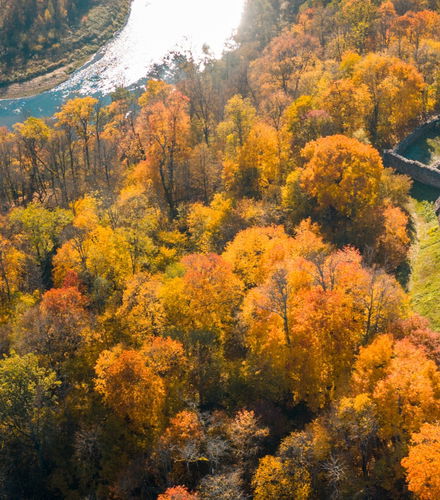 Foto de Excursión a Sigulda