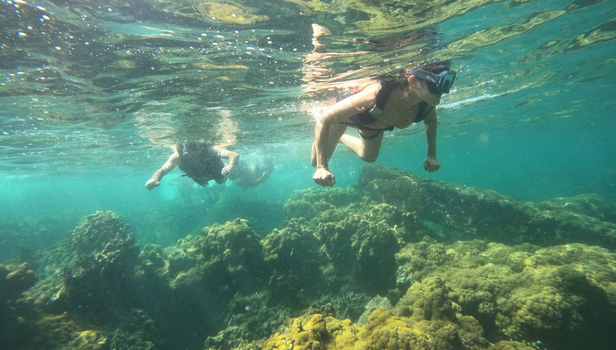 Snorkel en Barú - Foto 1