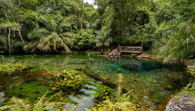 Snorkelling in the Bonito River - Photo 2
