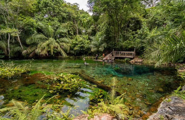 Snorkel en el río Bonito - Foto 7