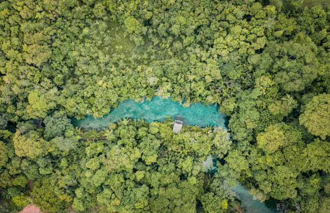 Snorkel en el río Bonito - Foto 2