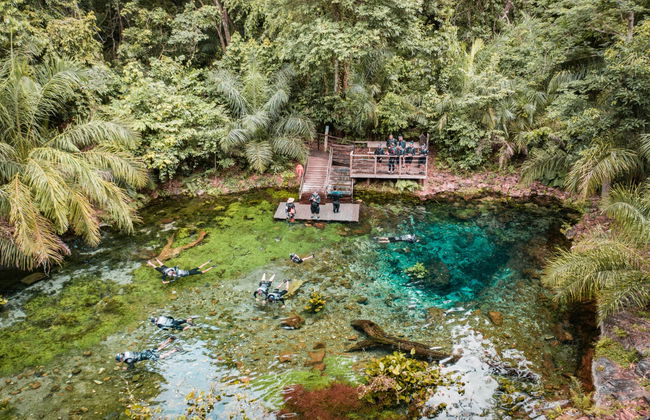 Snorkel en el río Bonito - Foto 5