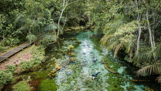 Snorkelling in the Bonito River - Photo 3