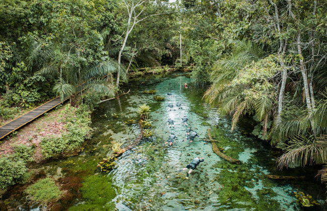 Snorkel en el río Bonito - Foto 6