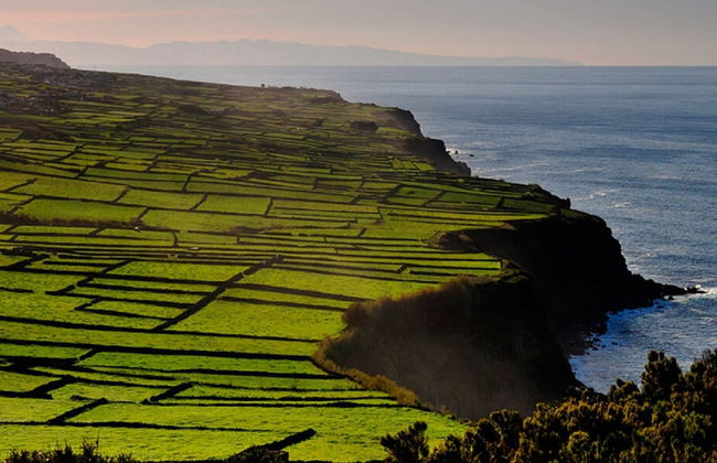 Tour de jipe pela Terceira - Foto 1