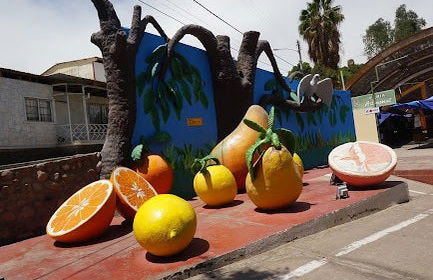 Pica Oasis Hiking Tour - Foto 7