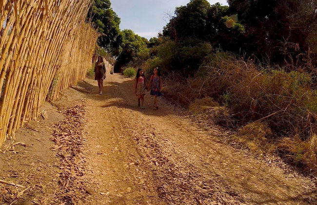 Pica Oasis Hiking Tour - Photo 5