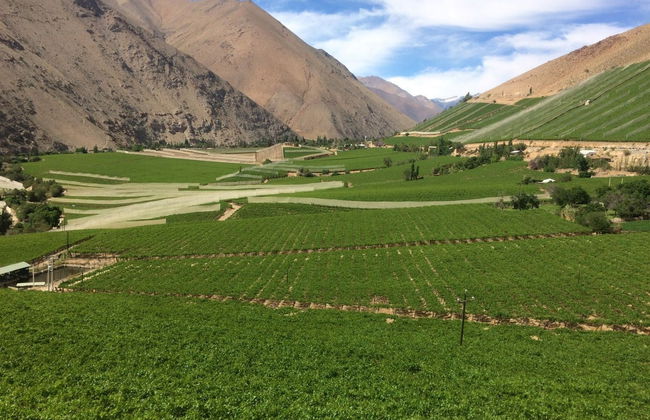 Elqui Valley Tour - Photo 4